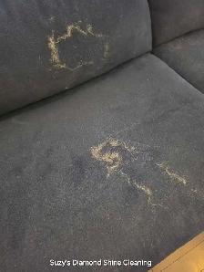 Suzys Diamond Shine Cleaning - Photo 8