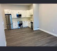 1 bedroom 1 bathroom for rent - st. boniface