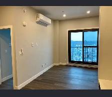 1 bedroom 1 bathroom for rent - st. boniface - Photo 2