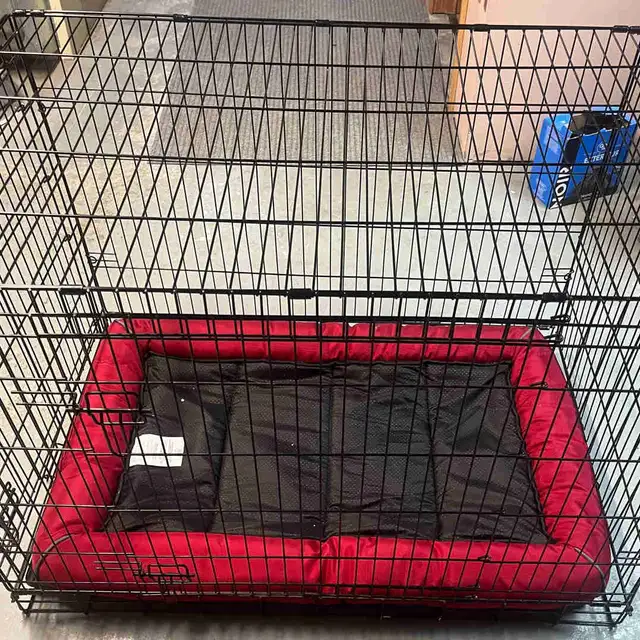 Dog Kennel