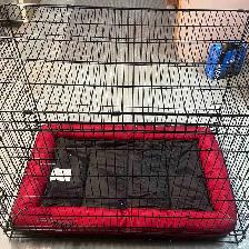 Dog Kennel