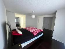 spacious, private bedrooms available immediately - Photo 3