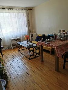 Nice large renovated  2 1/2 in CDN available October/November - Photo 3