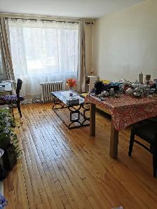 Nice large renovated  2 1/2 in CDN available October/November - Photo 4