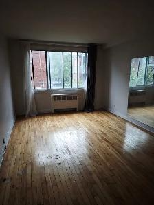 Nice large renovated  2 1/2 in CDN available October/November - Photo 6