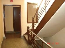 Nice large renovated  2 1/2 in CDN available October/November - Photo 9