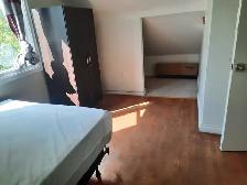 2 Rooms for Rent in Etobicoke North– $700 Each – Upper Floor - Photo 5