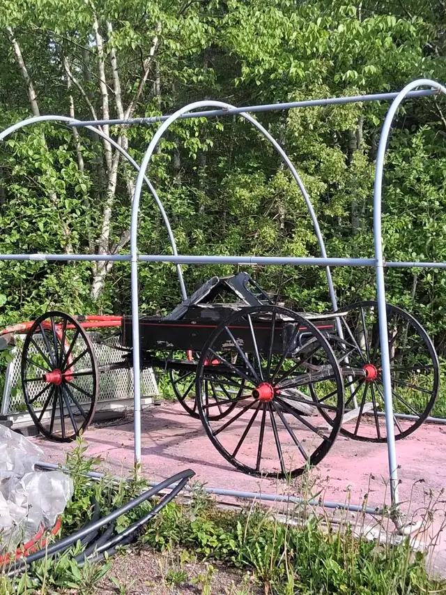For Sale : old fashion horse  carriage 709-486-4434