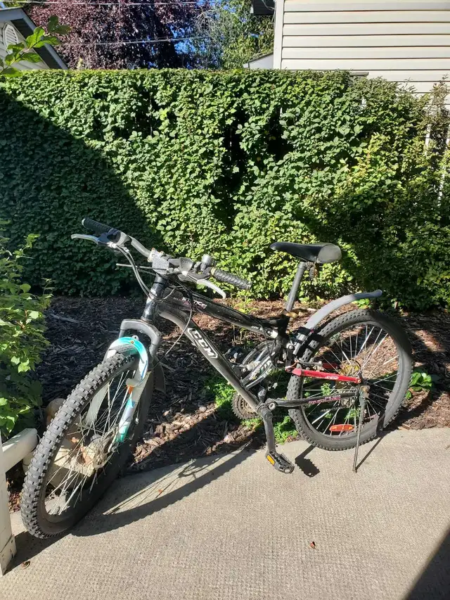 Mountain bike