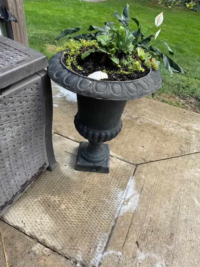 outside Pot