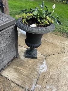 outside Pot