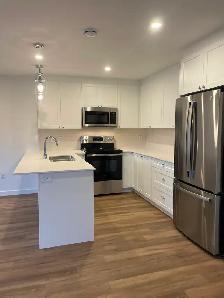 3 Bedroom Towmhome Apartment for RENT in Wolfville - Photo 5