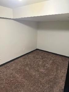 1 bedroom basement suite - Photo 2