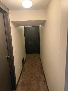 1 bedroom basement suite - Photo 3