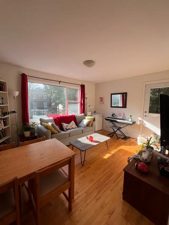 Grand 4 1/2 à louer secteur Montcalm
