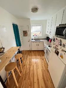 Grand 4 1/2 à louer secteur Montcalm - Photo 2