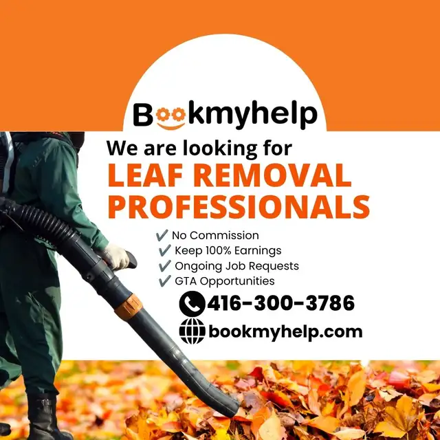 Leaf Removal Jobs Available Across the GTA