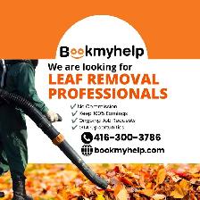 Leaf Removal Jobs Available Across the GTA