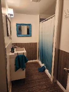 Home For Sale Drumheller AB - Photo 10