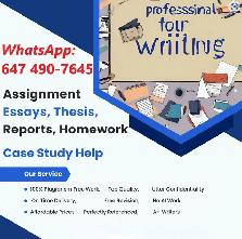 ASSIGNMENTS | ESSAY WRITING | LAB-TASKS | UNIVERSITY PAPER HELP!