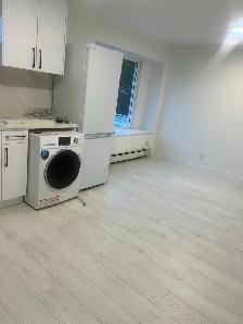 GORGEOUS - FULLY RENOVATED Basement! - Photo 6