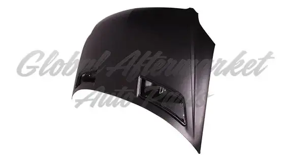 Dodge Van Dodge Sprinter 2007-2009 Hood