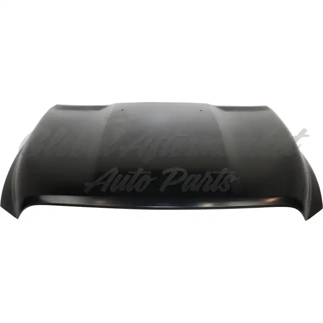 Dodge Pickup Dodge Ram 2009-2010 Hood Steel
