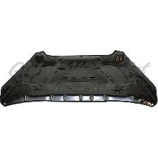 Dodge Pickup Dodge Ram 2009-2010 Hood Steel - Photo 4