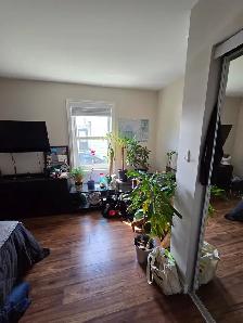 Private Bedroom for Rent!! All Inclusive!! - Photo 8