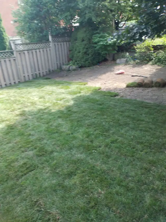 Landscaping and Property maintenance & Disposal services