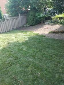 Landscaping and Property maintenance & Disposal services