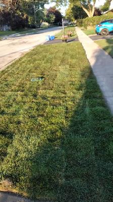 Landscaping and Property maintenance & Disposal services - Photo 6