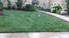 Landscaping and Property maintenance & Disposal services - Photo 10