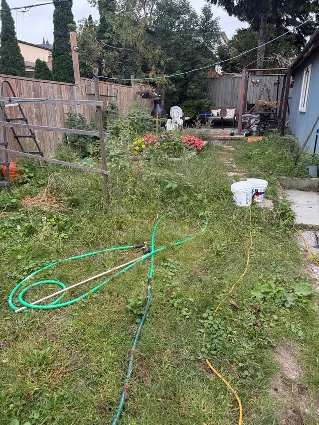 Looking for Helper for backyard cleaning