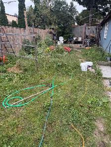 Looking for Helper for backyard cleaning