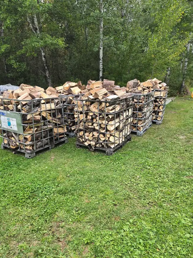 Seasoned Firewood