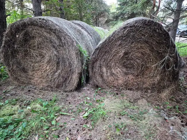 Hay bales