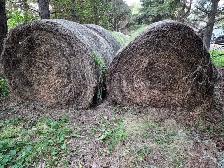 Hay bales