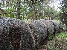 Hay bales - Photo 2