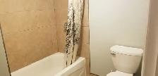 NEWLY RENOVATED  ROOMS FOR RENT STUDENTS  BY ALGONQUIN CARLETO - Photo 3