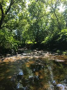 Terrain à vendre à Sutton – Bordé par la rivière– Village à pied - Photo 6