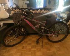 Mountain bike