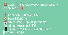 Runner (Helper)