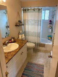 Bright 2bdrm APT- RENOVATED/SPACIOUS/SELF CONTAINED! - Photo 4