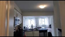 1 Bedroom for Students or Professionals in Kitchener - Photo 7