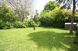 Basement 2Bedroom,House,Rent $1400,Victoria Pk Ave & Eglinton Av - Photo 5