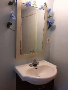 Basement 2Bedroom,House,Rent $1400,Victoria Pk Ave & Eglinton Av - Photo 9