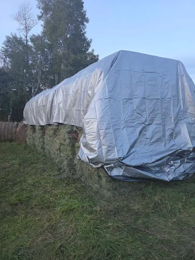 Second Cut Square Hay Bales - $12