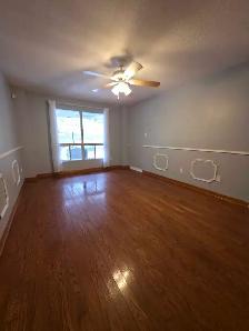 4 Bedroom house for rent. - Photo 8