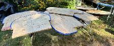 14' Canoe Forms